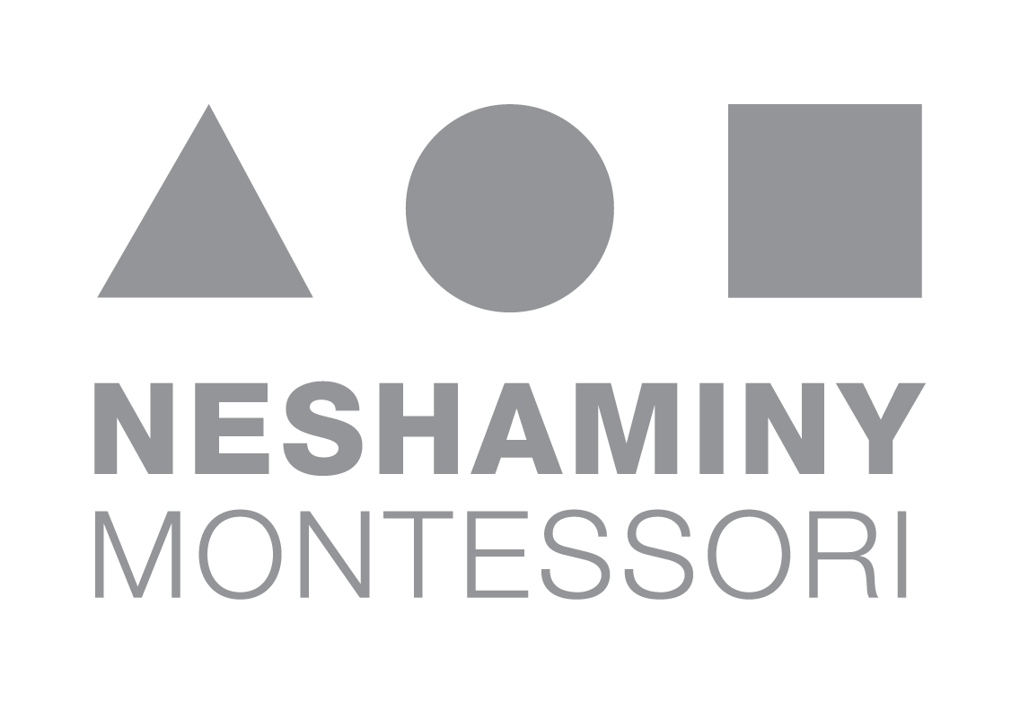 Neshaminy-Site-Graphics-LOGO